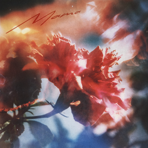 zjzjzjzjzjzjz中国免费
