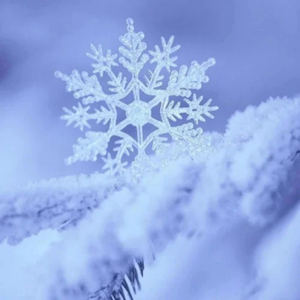 zjzjzjzjzjzjz中国免费
