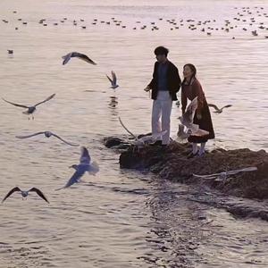 zjzjzjzjzjzjz中国免费
