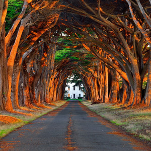 zjzjzjzjzjzjz中国免费
