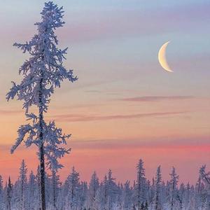 zjzjzjzjzjzjz中国免费
